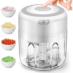 250ML Electric Garlic Food Chopper Vegetable Chopper Grinder Blender Crusher